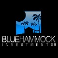 Blue Hammock Investments, Inc.