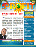 The Profit Newsletter for Tampa REIA - July 2013