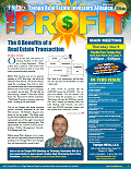 The Profit Newsletter for Tampa REIA - November 2012