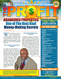 The Profit Newsletter for Tampa REIA - November 2013
